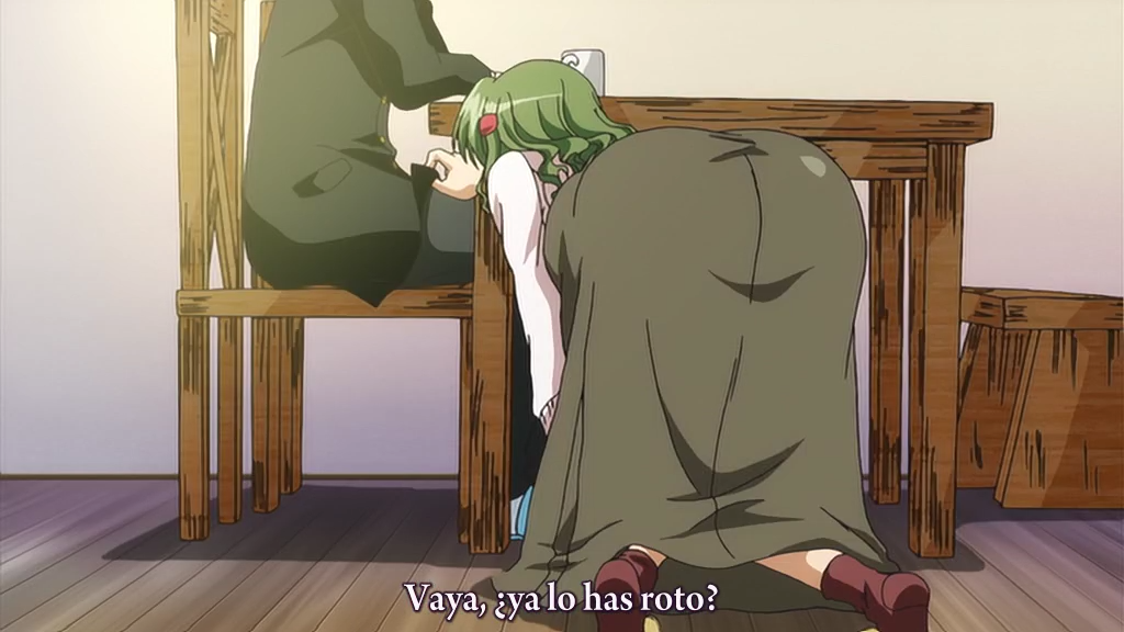 ef: A Tale of Memories. (Tanoshii Fansub)